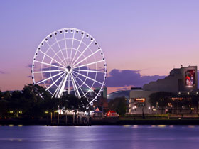 The Wheel of Brisbane - Accommodation in Brisbane
