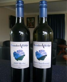Thunder Ridge Wines - Accommodation in Brisbane