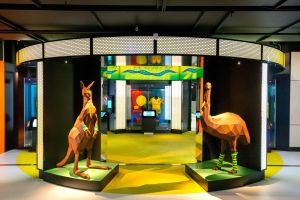 Australian Sports Museum - Accommodation in Brisbane