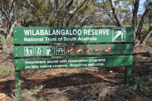 Wilabalangaloo Reserve - Accommodation in Brisbane